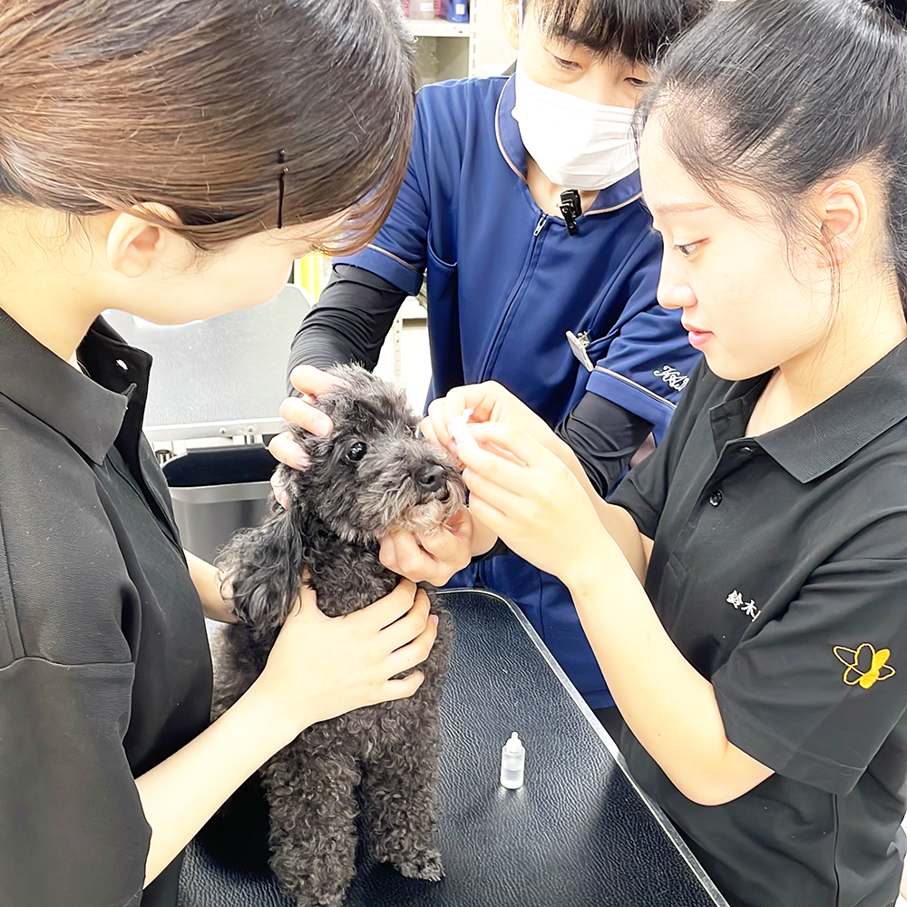 モデル犬の健康管理☆